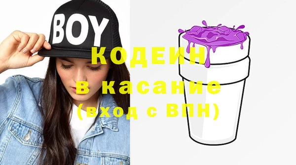 прущий лед Корсаков