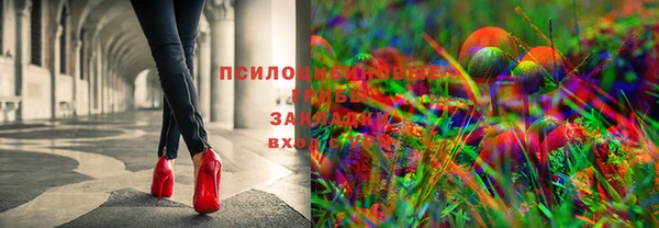 прущий лед Корсаков