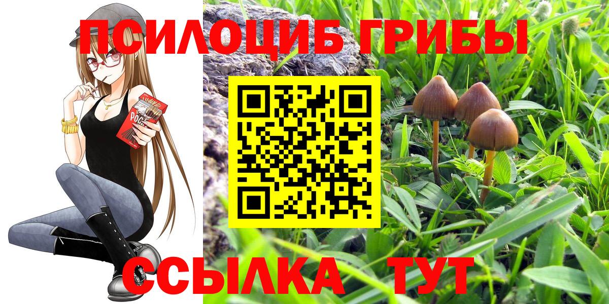 Коломна  Псилоцибиновые грибы MAGIC MUSHROOMS  даркнет сайт  Вход с VPN 